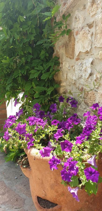Borgo Al Cielo - Diffuso Apartment Suvereto